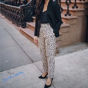 Leopard print pull-on pants Ann Taylor